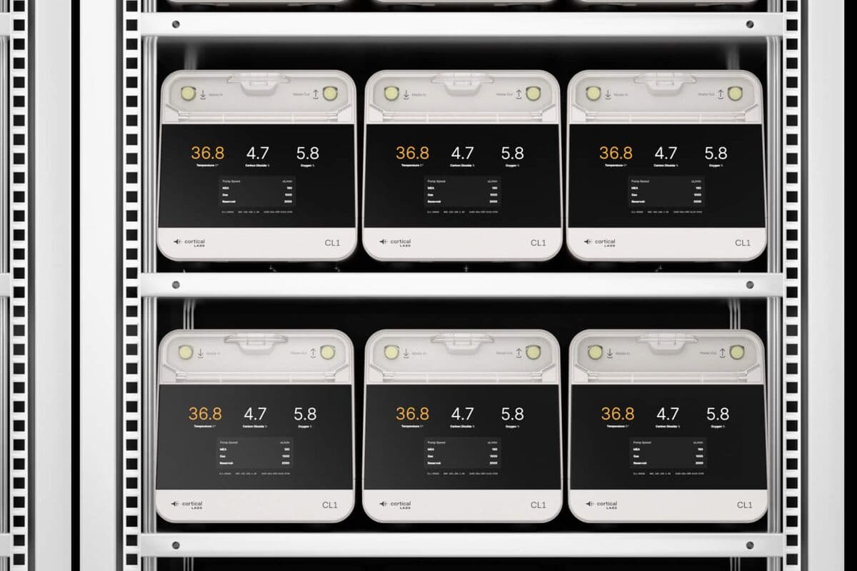 Human Brain Cells Run New Data Centers in Singapore, Melbourne - Bloomberg.com