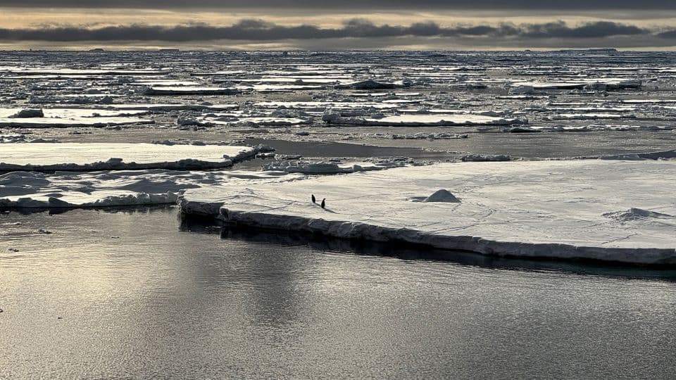 A ‘triple whammy’ of chaos has triggered a downward spiral in Antarctica, scientists discover - Yahoo