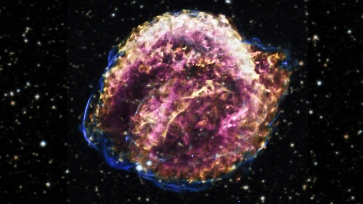 Watch a Supernova's Expansion Over 25 Years in Dramatic NASA Timelapse - ScienceAlert