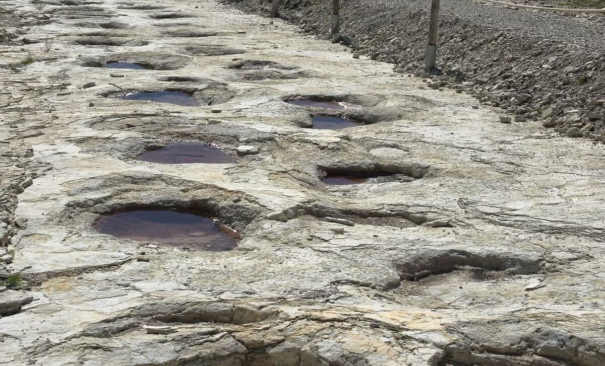 Scientists Have Just Uncovered the World's Longest Dinosaur Footprint Trail Still Well-Preserved in French Rock - The Daily Galaxy