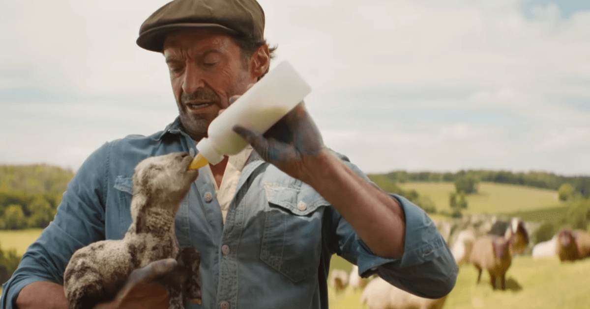 Critics Are Weepy for The Sheep Detectives - Vulture