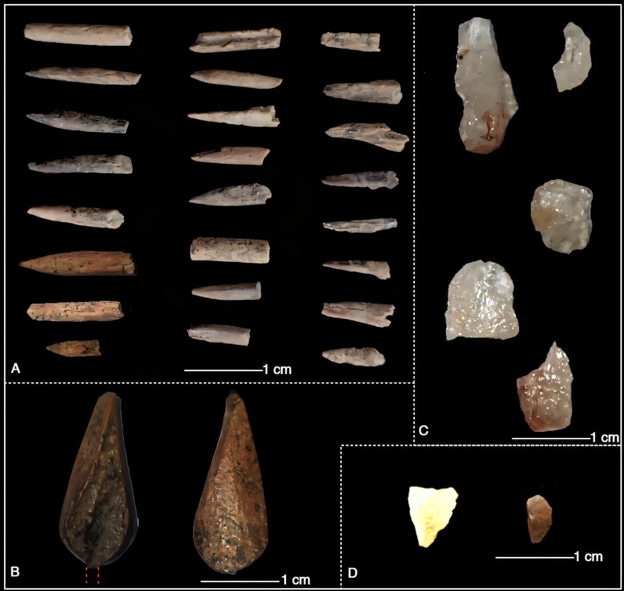 Northern Sri Lanka's oldest confirmed settlement reshapes what archaeologists thought about early island life - Phys.org